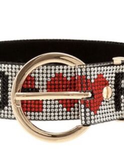 Dior Theme Belt